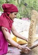 Frau trennt Reis durch ein Sieb von der Spreu