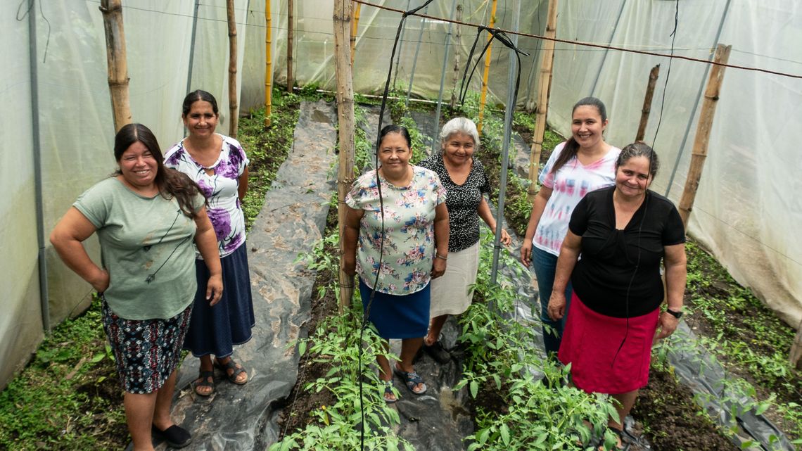 Carolina Fuentes ist Teil einer Gruppe von Frauen, die in einem Gewächshaus gemeinsam Tomaten anbauen (ganz rechts Ana Luz).
