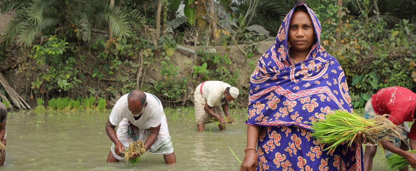Bangladesch: Genug zum Leben trotz Klimawandel | Brot für die Welt