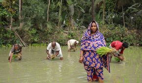 Bangladesch: Genug zum Leben trotz Klimawandel
