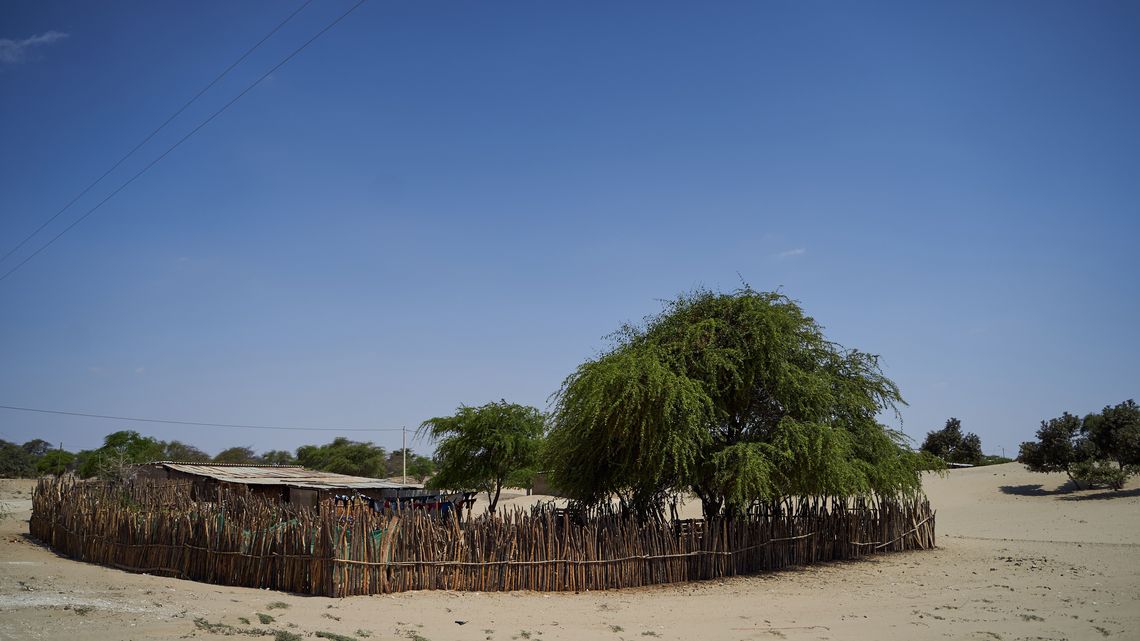 Peru, CEDEPAS NORTE, Region Piura. Die Region um Piura ist eher flach und geprägt von Wüstengebieten.