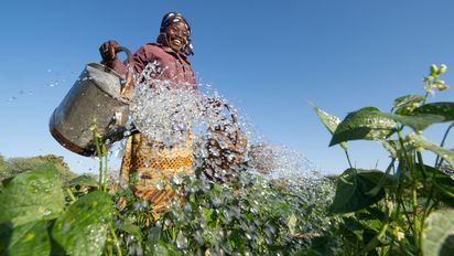 Fatimata Sawadogo aus dem Dorf Niessega im Norden von Burkina Faso giesst ihr Feld mit gruenen Bohnen.