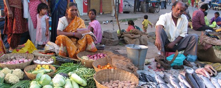 Indische Händlerinnen und Händler verkaufen am Straßenrand Gemüse und Fisch