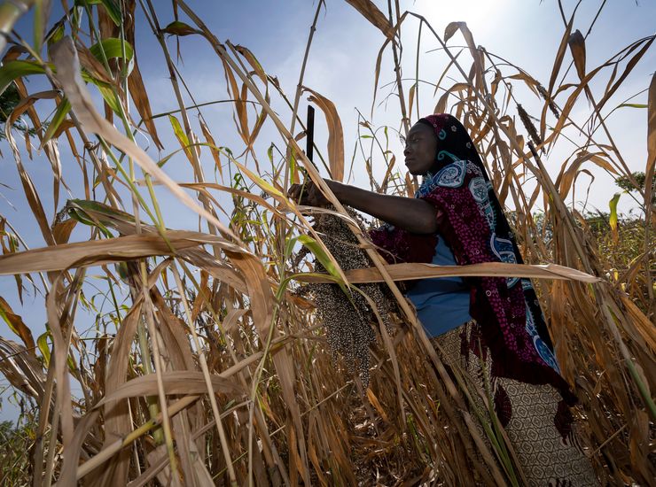 Impressionen und Schmuckbilder aus Burkina Faso