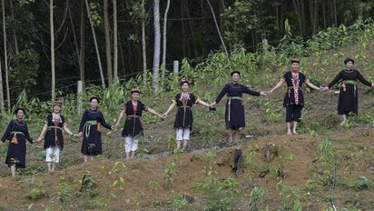 Frauen der Dao und Thai Ethnie vor Zimtwald in Vietnam © Jörg Böthling/Brot für die Welt