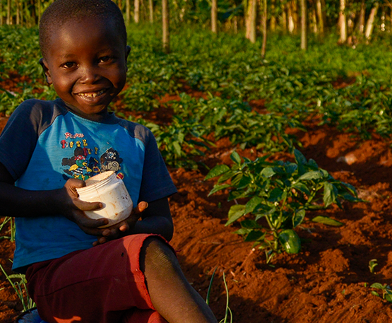 Kind sitzt in einem Feld im Gemüsegarten