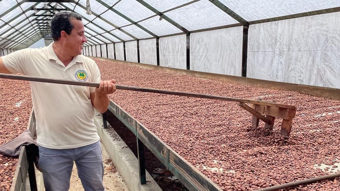 Trocknung der Kakaobohnen in eigenen Anlagen, COOPROAGRO