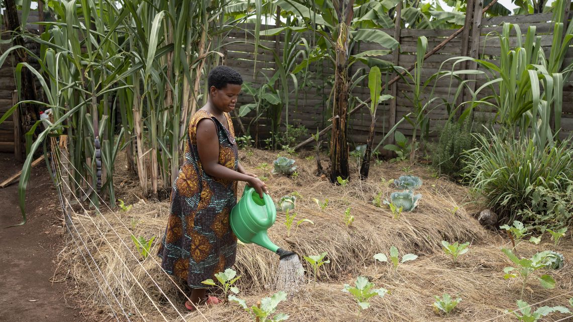 Joy Kamusiime, 38, bewässert den Gemüsegarten ihres Hauses im Dorf Kikunda 1 in Rwampara. 
