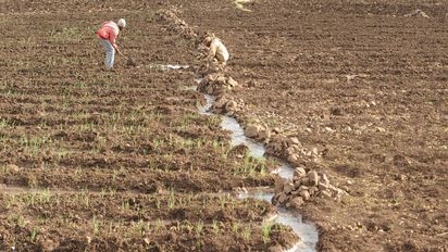 zwei Bauern auf einem Feld am Bewässerungskanal, Äthiopien