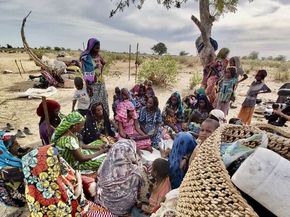 Mbororo Community, Tschad