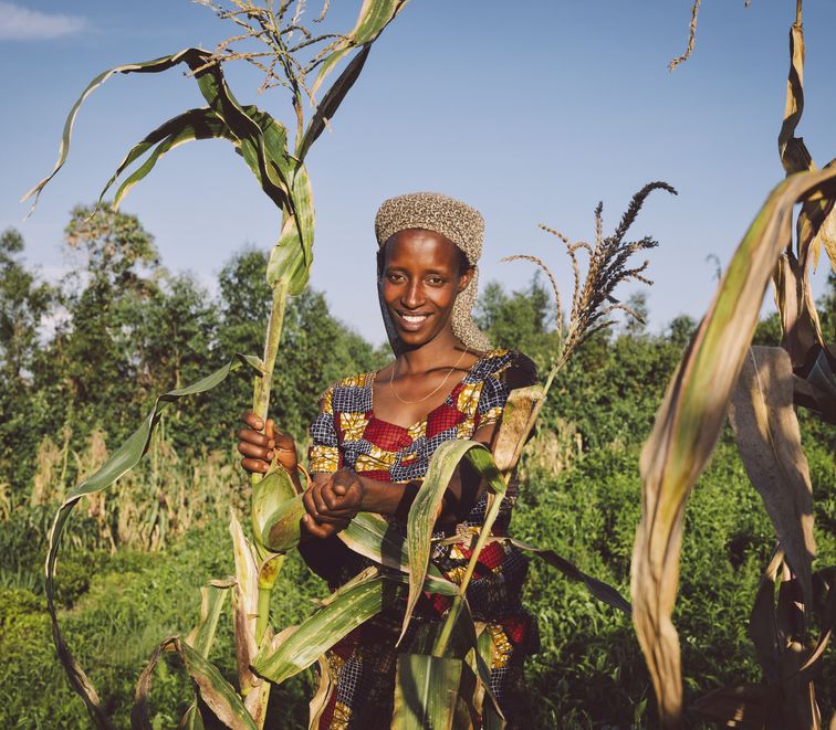 Kleinbaeuerin Claudine Hashazinyange (26) bei der Maisernte.Sie ist eine Teilnehmerin des Programmes von „Ripple Effekt“. Die Brot und die Welt-Partnerorganisation foerdert unter anderem nachhaltige landwirtschaftliche Entwicklung, Ernaehrungssicherung, Armutsbekaempfung und Gleichstellung der Geschlechter.