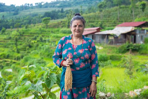 Ernährungssicherheit in Nepal