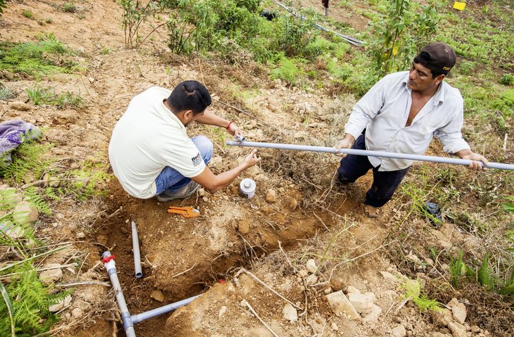 Jose Espejo Palomino mit Rohren, woraus das Bewaesserungssystem gebaut wird. CICAP-Mitarbeiter Jimmy Guerrero macht mit ihm zusammen die Instalation. (c) 2016 Kathrin Harms