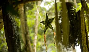 Reportage zur Arbeit von IDEAS - Förderung alternativer landwirtschaftlicher Produktion und Vermarktungskomponenten in Palawan Foto zeigt: Projekte von IDEAS, Familien, Arbeit und Features aus dem UmfeldOrt: Palawan, Maasin