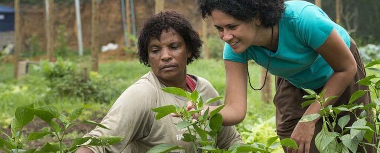 Danielle dos Santos Sanfins from AS-PTA advises Rosineia Suares in Parque Geneciano Luz / Brazil in the greenhouse of the cooperative Univerde. (Photo: Thomas Lohnes)