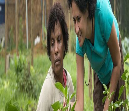 Danielle dos Santos Sanfins from AS-PTA advises Rosineia Suares in Parque Geneciano Luz / Brazil in the greenhouse of the cooperative Univerde. (Photo: Thomas Lohnes)