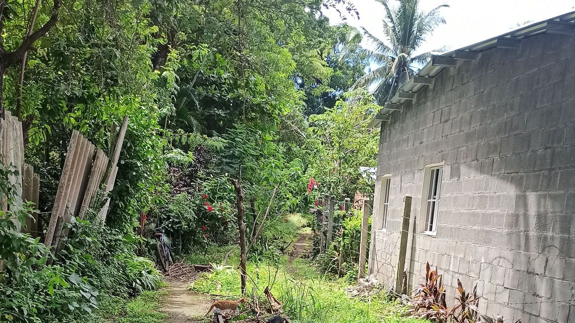 Die Bahnstrecken in El Salvador sind stillgelegt. Auch in der Nähe des alten Bahnhofs von Acajutla führen die Schienen ins Leere.