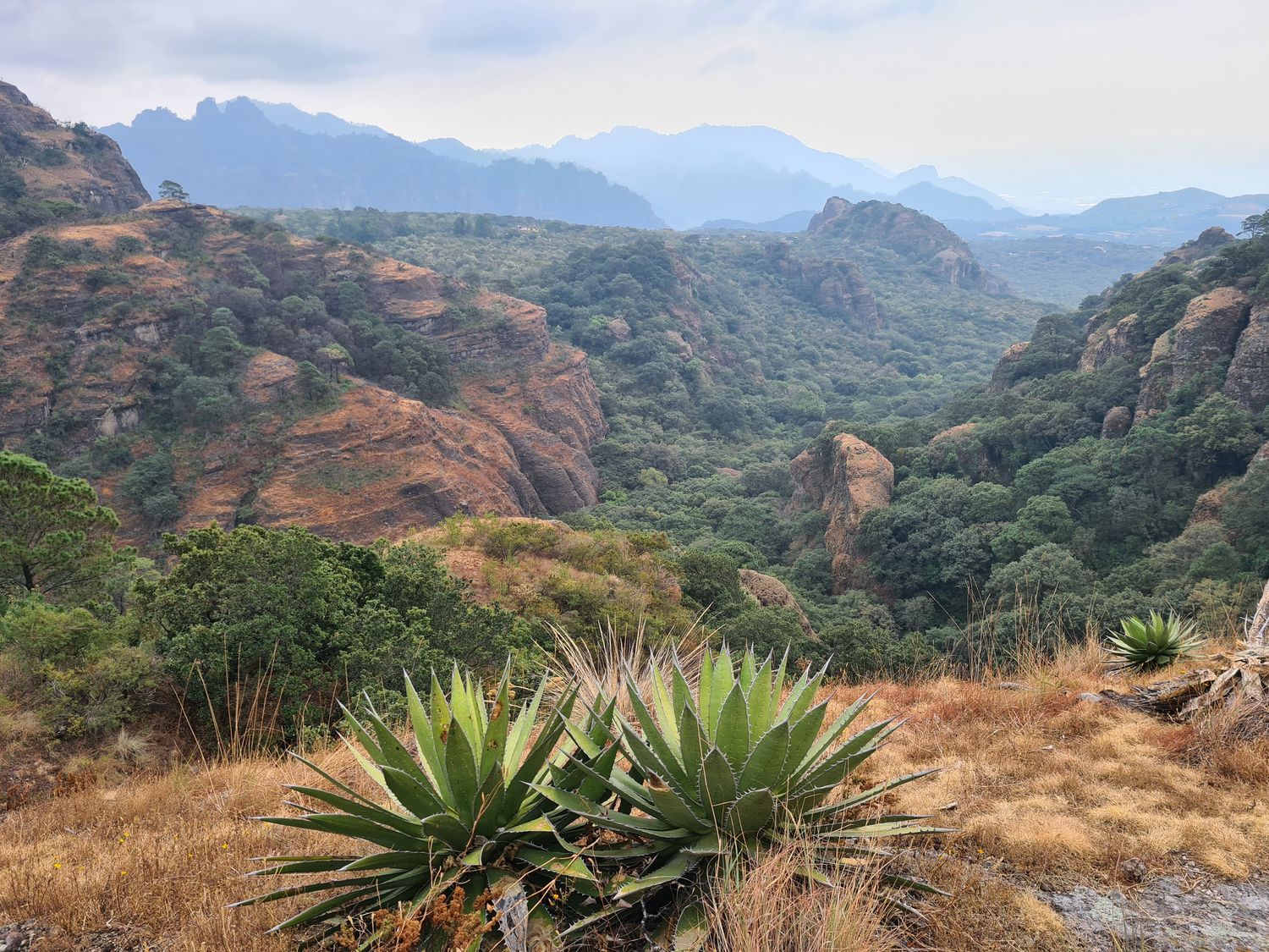 Umweltrechte und Menschenrechte Das Escazú Abkommen Brot für die Welt