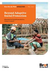 Analysis 113: Beyond Adaptive Social Protection
