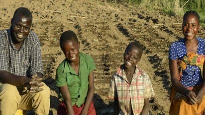 SAMBIA, Sinazongwe, NGO KDF, Ethnie Tonga, Dorf Siabunkululu, Hof von Farmer Jackson Hanzala und Frau Never Hanzala, neu gepflanzter Kohl, mit Sohn Jackson 14 Jahre links und Freund