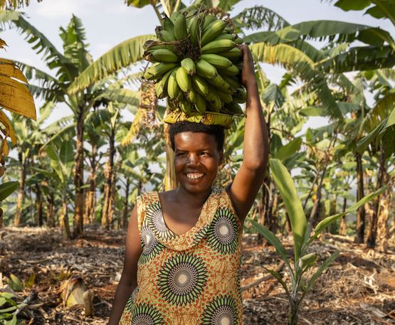 ACORD beneficiary Kamusiime Joy, 38, attends to her banana plantation close to her hom in Kikunda 1 village, Rwampara District, western Uganda, on January 30, 2025.