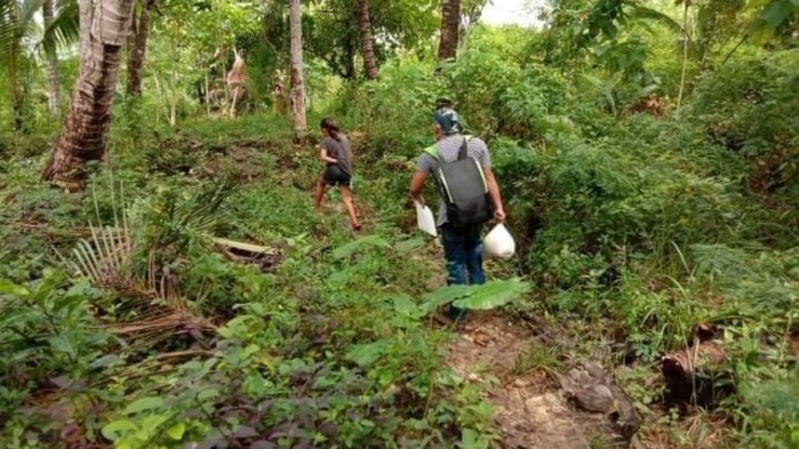 Ein Junge und Mitarbeiter laufen durch den Wald