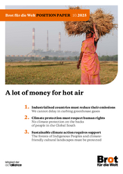 Position Paper 10.2025: A lot of money for hot air 
