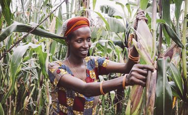 Kleinbaeuerin Claudine Hashazinyange (26) bei der Maisernte.Sie ist eine Teilnehmerin des Programmes von „Ripple Effekt“. Die Brot und die Welt-Partnerorganisation foerdert unter anderem nachhaltige landwirtschaftliche Entwicklung, Ernaehrungssicherung, Armutsbekaempfung und Gleichstellung der Geschlechter.
