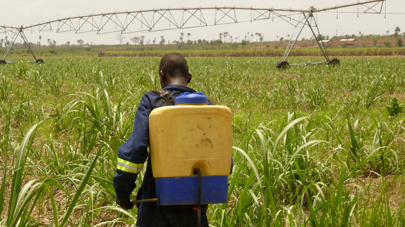 Worker in the Addax fields