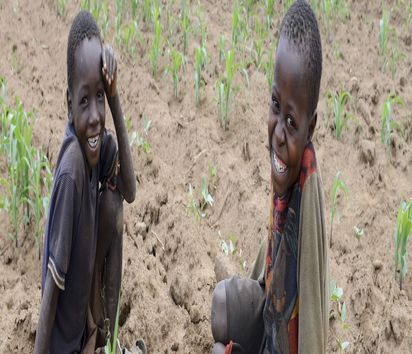 SAMBIA, Sinazongwe, NGO KDF, Ethnie Tonga, Dorf Siabunkululu, Hof von Farmer Jackson Hanzala und Frau Never Hanzala, Kinder im Maisfeld