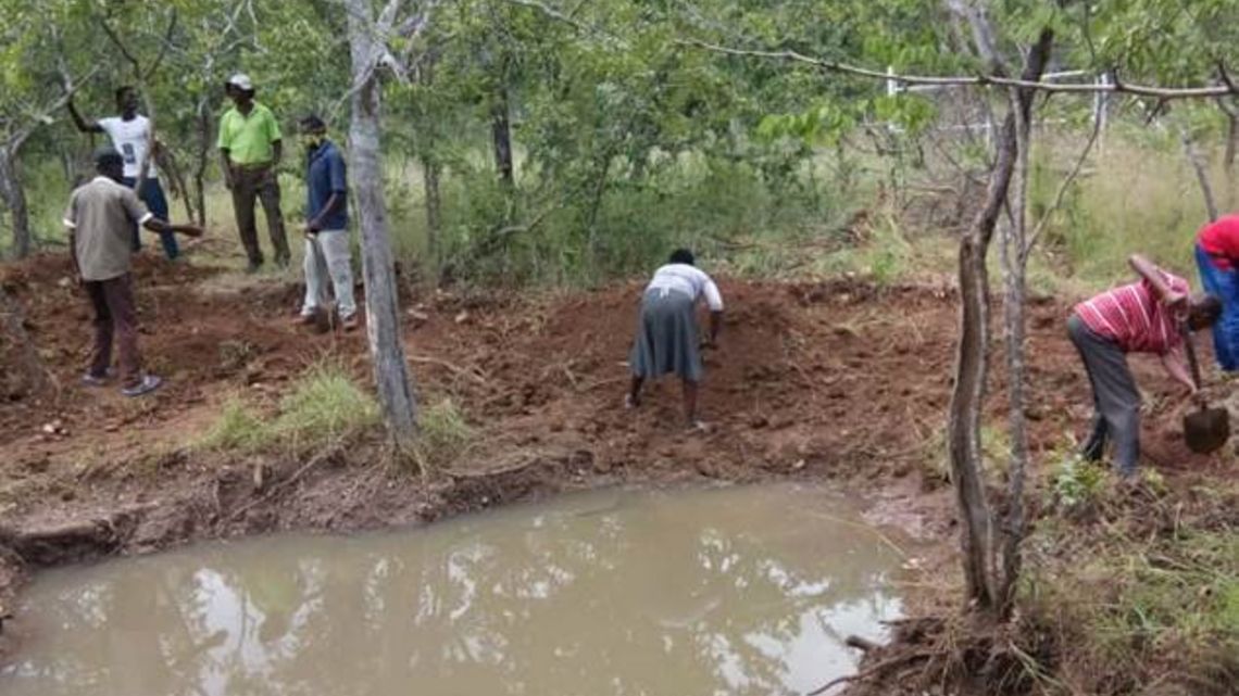 Wasserauffangbecken verändern Böden und Mikroklima, so dass Bäume und Pflanzen wieder wachsen.