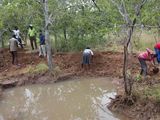 Wasserauffangbecken verändern Böden und Mikroklima, so dass Bäume und Pflanzen wieder wachsen.