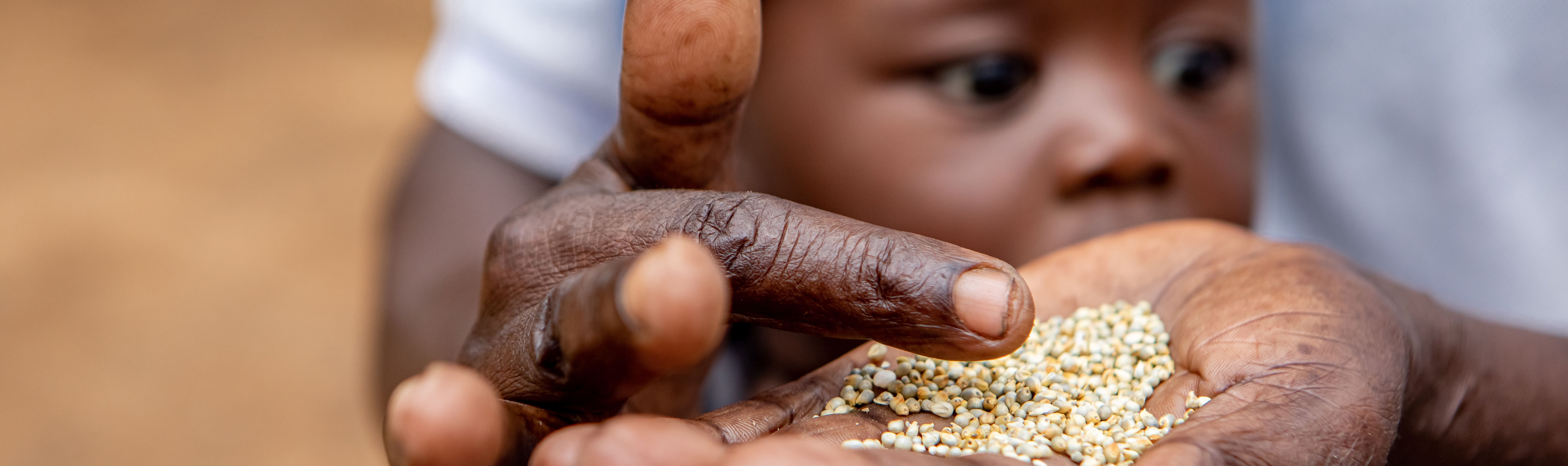 Gift Dirani (65) und seine Frau Evelyn (61) leben mit 5 ihrer 11 Kinder und 3 Enkelkindern auf ihrem Hof in Nyanyadzi, Chimanimani an der Ostgrenze Simbabwes. Die Region hat eine schwere Dürre erlebt und ist vom Klimawandel stark betroffen. Dadurch sind die Kleinbauern von großen Verlusten bei der Ernte und dem Viehbestand bedroht.Projektpartner: Towards Sustainable Use of Resources Organisation (TSURO)
