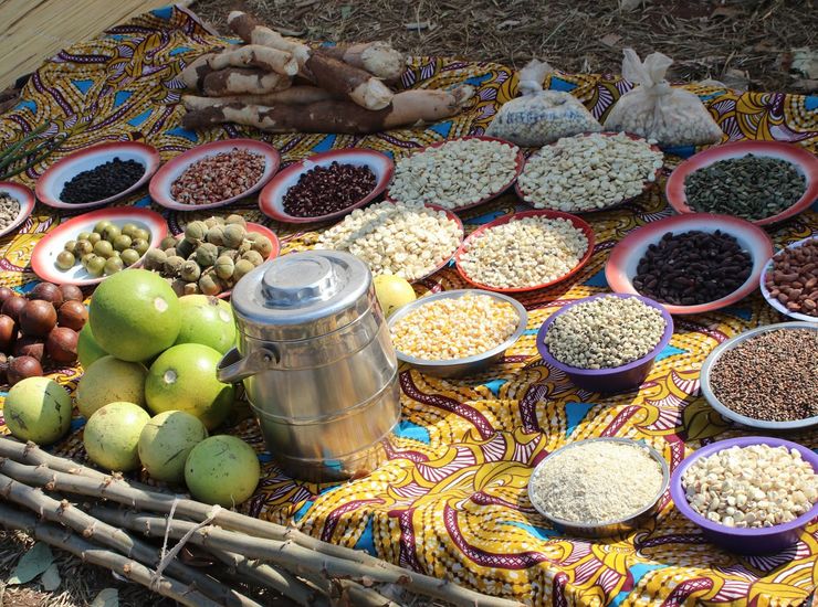 Ernährungssicherheit in Sambia