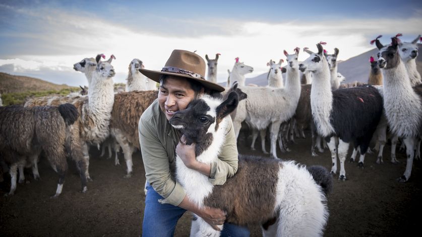 Edson Muraña mit den Lamas deiner Familie