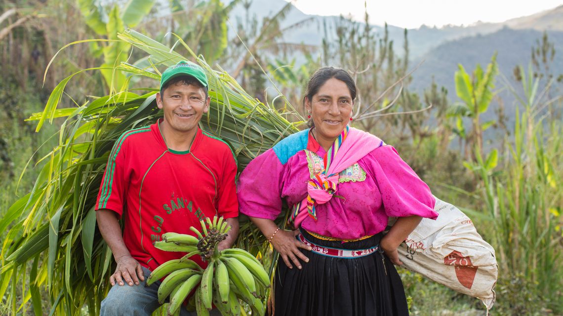 Ein peruanisches Ehepaar arbeitet gemeinsam auf seinem Feld.
