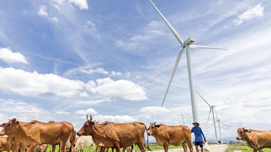 Herd und Windpark