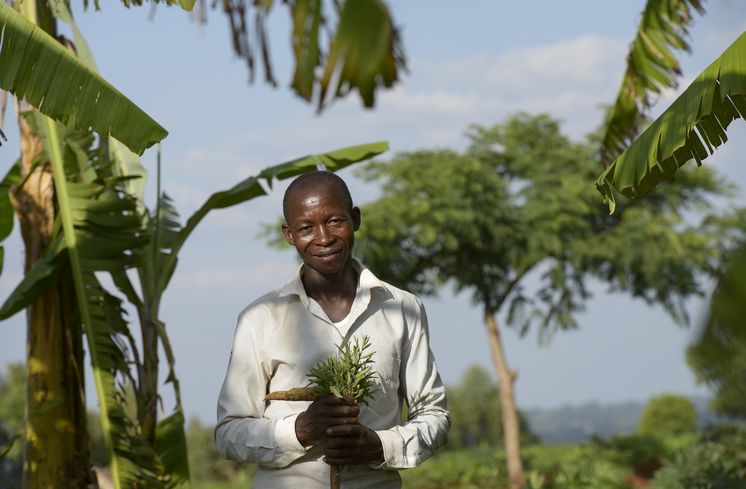 TANSANIA, Tarime Distrikt, MFEC - Mogabiri Farm Extension Centre, Dorf Kewamaba, Hof von Isaya Mwita, 34 Jahre, und seiner Frau Grace, 23 Jahre, Isaya vor Bananenpflanze