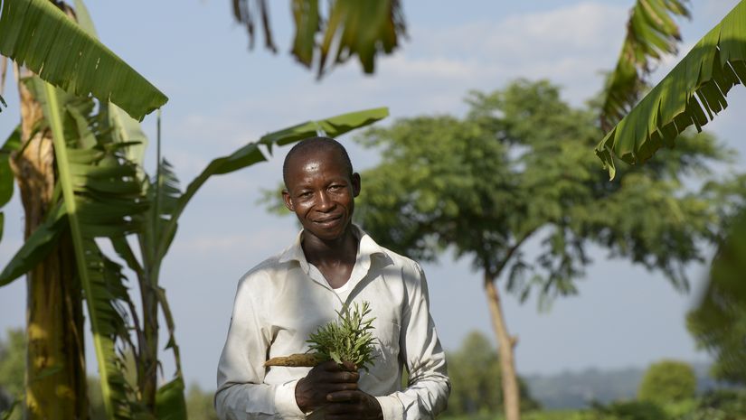 Isaya Mwita auf seiner Farm vor Bananenpflanzen
