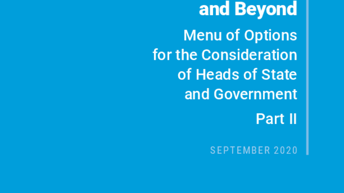 UN Policy Options for Heads of States