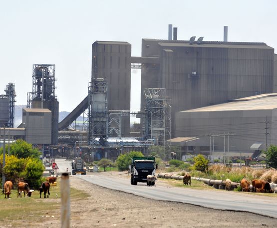 Afrika, SÃ¼dafrika, BFM, Menschenrecht, Frieden, Landschaft, Verunreinigung, Natur, Industrie, Vegetation, StraÃŸe, Werk, Tier