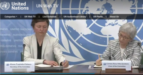 die Vorsitzende des UN-Ausschusses stellt den Bericht zu Mexiko in Genf in einer virtuellen Pressekonferenz vor 
