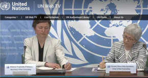 die Vorsitzende des UN-Ausschusses stellt den Bericht zu Mexiko in Genf in einer virtuellen Pressekonferenz vor 