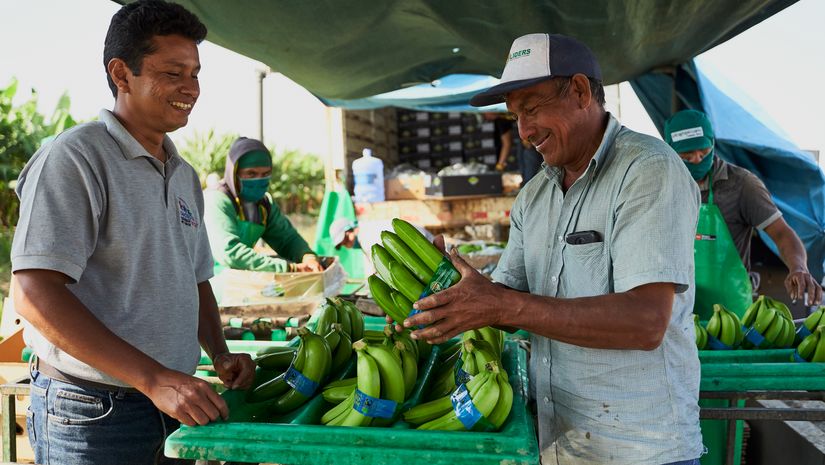 Mann verkauft Bananen auf Markt