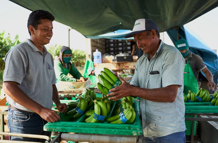 Mann verkauft Bananen auf Markt