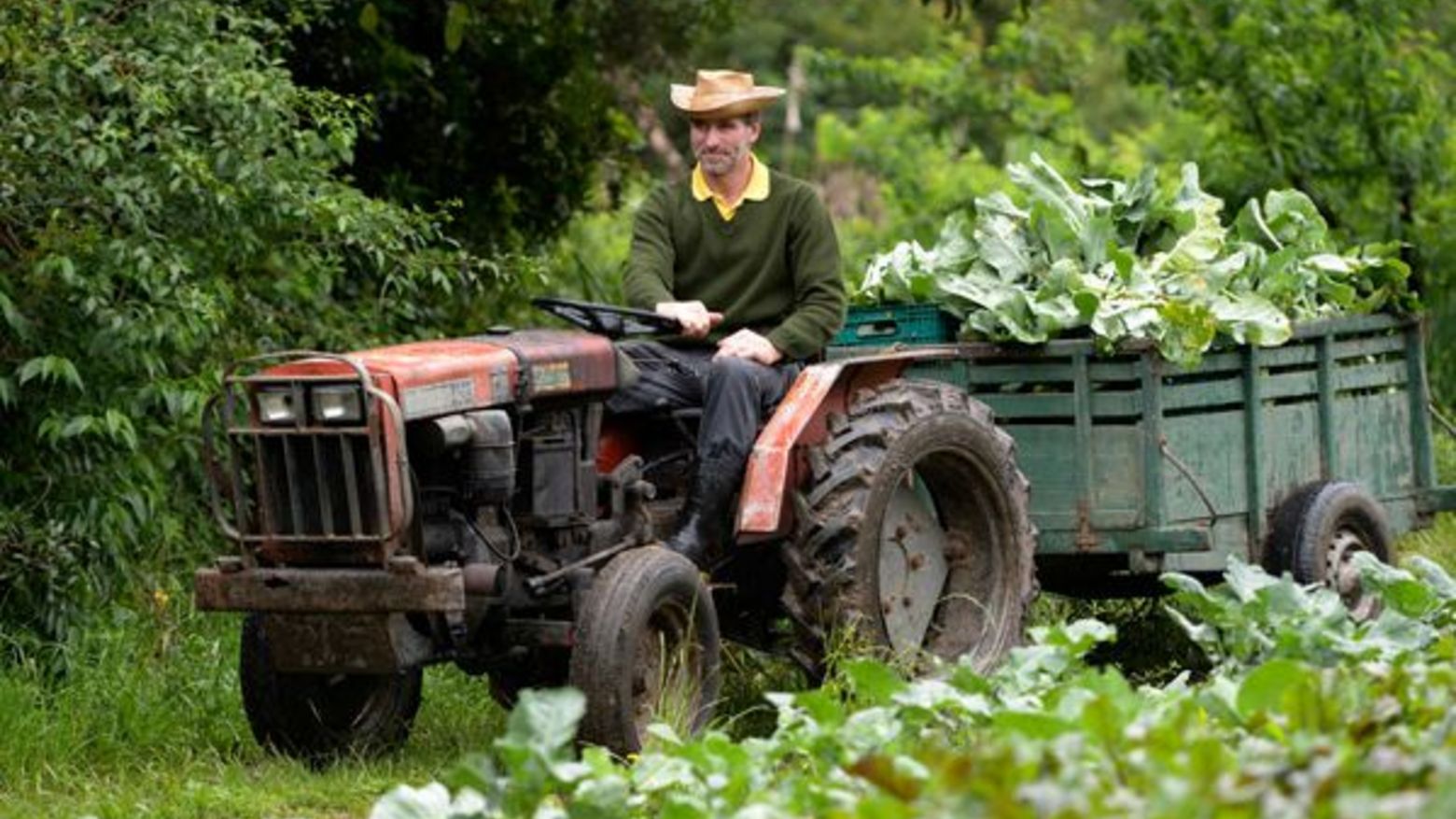 Bauer auf Traktor