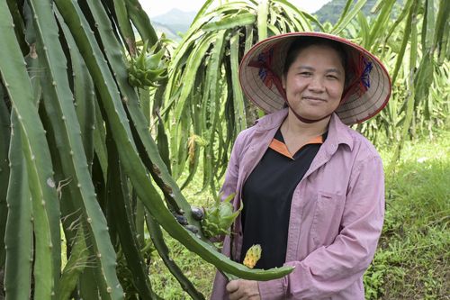Projektbegünstigte in Vietnam Projektbegünstigte in Vietnam