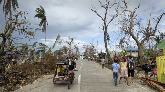 Zerstörung nach dem Sturm Hayan auf Cebu, Philippinen