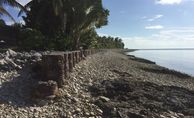 Tuvalu: Zementgefüllte Tonnen dienen als Anpassungsmaßnahme an den Klimawandel zum Schutz vor dem Meeresspiegelanstieg.Der Klimagipfel von Marokko findet vom 7-18. November 2016 statt.Brot für die Welt fordert, dass die Ärmsten in der Anpassung an den Klimawandel unterstützt werden in der Bewältigung von klimabedingten Schäden und Verlusten.