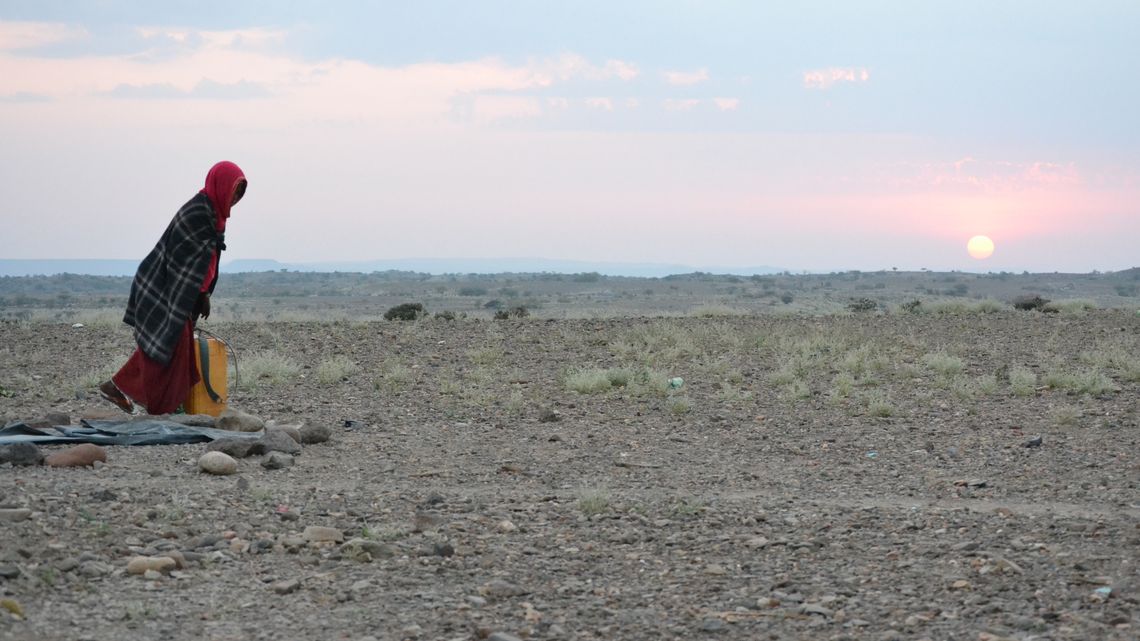 Die karge Landschaft in der Afarregion.